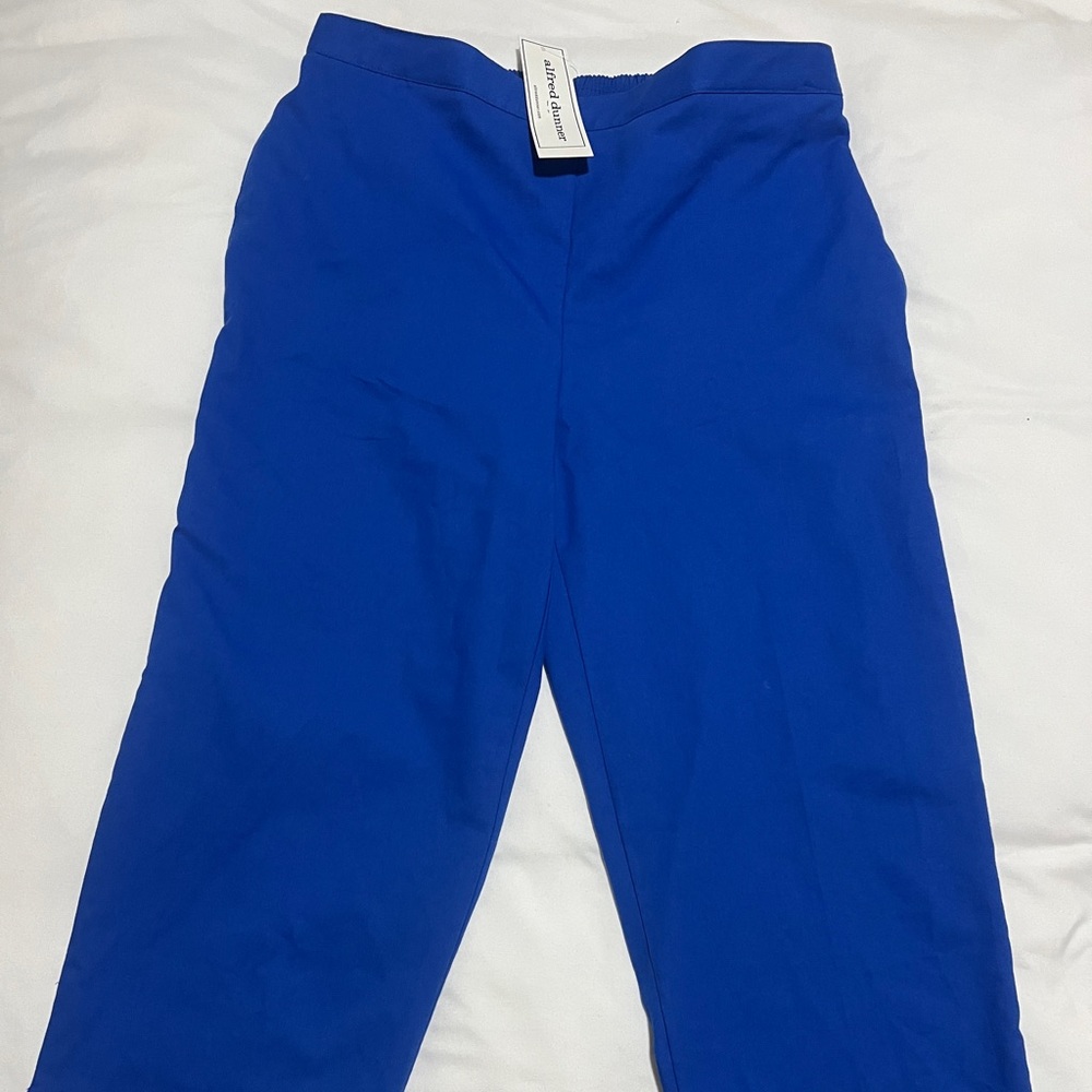Alfred Dunner Traditional Fit Capri Pants Size 10